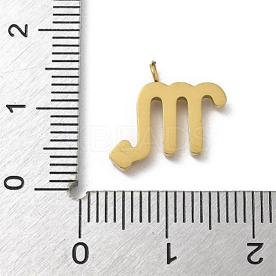 Ion Plating(IP) 304 Stainless Steel Micro Pave Cubic Zirconia Charms STAS-Z107-09G-07-1