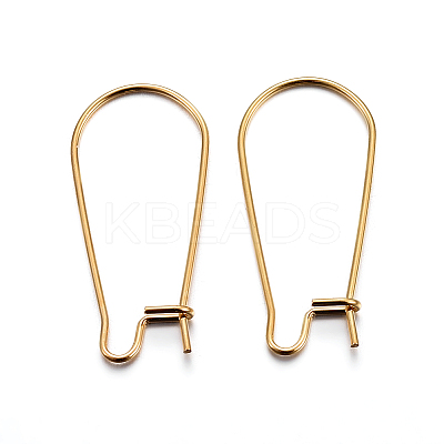 304 Stainless Steel Hoop Earrings LS-X-STAS-P223-01G-01-1