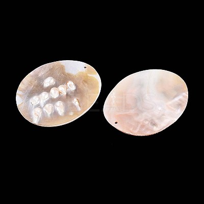 Natural Freshwater Pearl and Freshwater Shell Big Pendants SHEL-T020-52-1