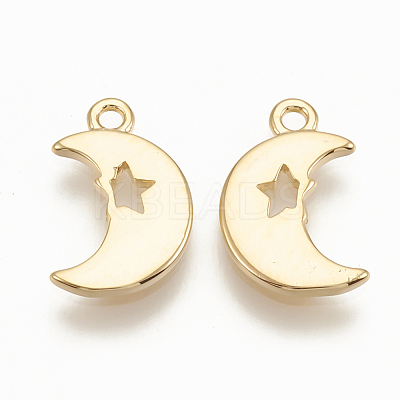 Brass Charms LS-KK-T020-101G-1