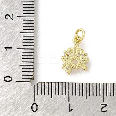 Rack Plating Brass Micro Pave Cubic Zirconia Charms KK-S396-46G-1