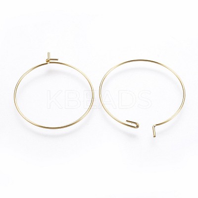 316 Surgical Stainless Steel Hoop Earring Findings LS-X-STAS-P221-01B-G-1