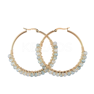 Beaded Hoop Earrings EJEW-JE03830-05-1