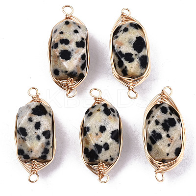 Natural Dalmatian Jasper Links/Connectors G-T131-100C-1