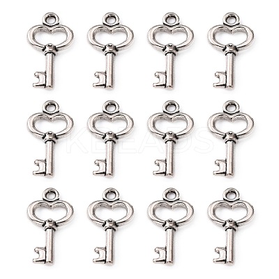 Gifts Ideas for Her Tibetan Style Alloy Charms LF11975Y-1
