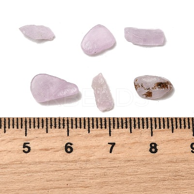 Natural Kunzite Beads X-G-Z099-A01-1