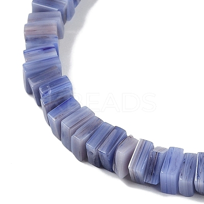 Handmade Lampwork Beads Strands LAMP-Q037-02B-12-1