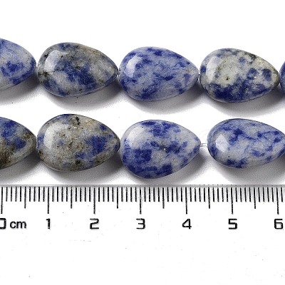 Natural Blue Spot Jasper Beads Strands G-P528-L17-01-1