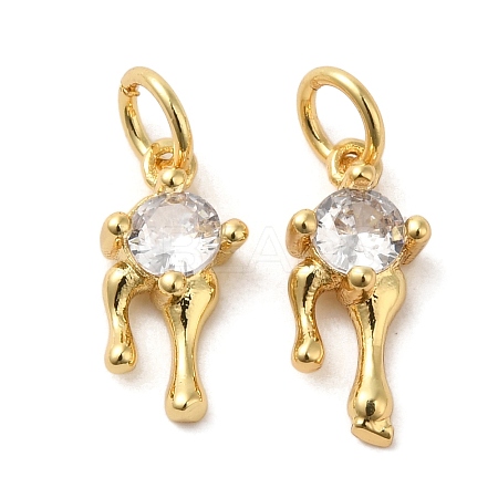 Rack Plating Brass Micro Pave Cubic Zirconia Charms KK-G488-13G-1