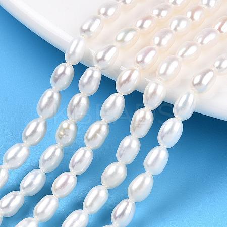 Natural Cultured Freshwater Pearl Beads Strands LS-PEAR-N012-04K-1