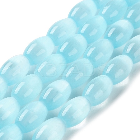 Macaron Color Natural Selenite Beads Strands G-B102-A01-06-1