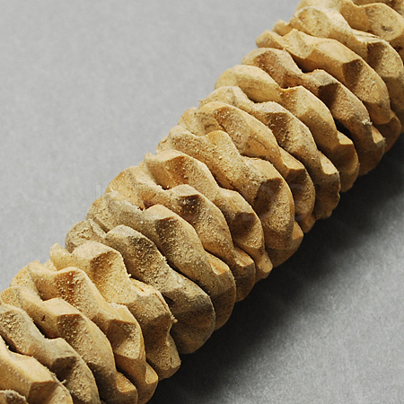 Coconut Beads Strands COCB-Q003-25mm-2-1