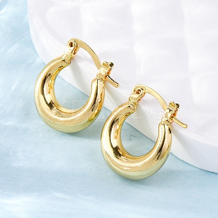 Chunky Huggie Hoop Earrings for Women EJEW-A064-11G-RS-1