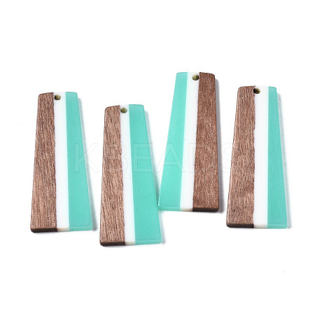 Resin & Walnut Wood Pendants X-RESI-S389-073A-A03-1