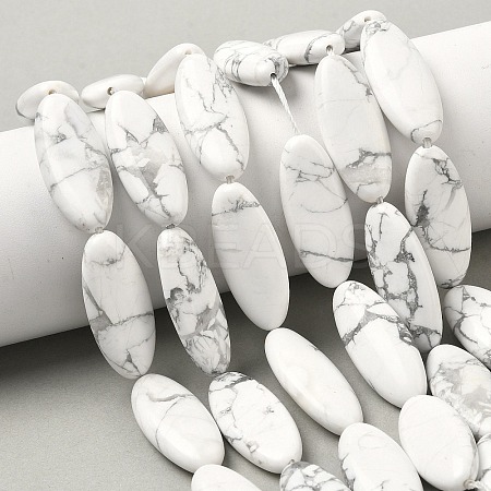 Natural Howlite Beads Strands G-B078-E17-01-1