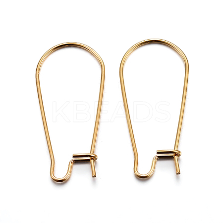 304 Stainless Steel Hoop Earrings LS-X-STAS-P223-01G-01-1