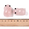 Natural Rose Quartz Monster Figurines DJEW-N003-01I-3