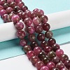 Natural Jade Imitation Watermelon Tourmaline Beads Strands G-NH0006-A01-03-1-2