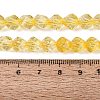 Crackle Transparent Glass Beads Strands GLAA-N068-02A-10-5