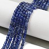 Natural Sodalite Beads Strands G-H042-B08-01-2