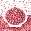 Frosted Glass Seed Beads SEED-N012-01J-2