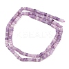 Natural Lepidolite/Purple Mica Stone Beads Strands G-G345-C18-2x4mm-3