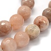 Natural Sunstone Beads Strands G-G763-02-10mm-3