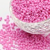 (Repacking Service Available) Baking Paint Glass Seed Beads SEED-C024-A-K2-1