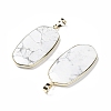 Natural Howlite Pendants G-K338-05C-3