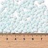 6/0 Glass Seed Beads SEED-M012-01A-13-4