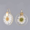 Alloy Resin Dangle Earrings EJEW-JE03560-2