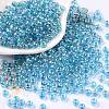 6/0 Glass Seed Beads SEED-T006-04F-04-1