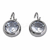 201 Stainless Steel Clear Cubic Zirconia Charms STAS-N087-47P-1