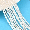 Natural Cultured Freshwater Pearl Beads Strands PEAR-F020-07-1