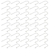 100Pcs 304 Stainless Steel Earring Hooks STAS-LP0001-57-1