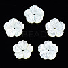 Natural White Shell Mother of Pearl Shell Beads SSHEL-T014-42B-1