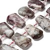 Natural Plum Blossom Tourmaline Beads Strands G-H078-A01-02-1