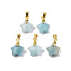 Natural Amazonite Charms G-N326-142-08-2