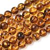 Natural Amber Beads Strands G-L095-B01-8mm-04-2
