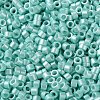 Baking Paint Glass Seed Beads X-SEED-S042-15A-09-3