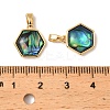 Natural Paua Shell Hexagon Charms KK-G538-30G-3