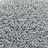 TOHO 11/0 Round Beads X-SEED-TR11-2101-2