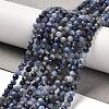 Natural Sodalite Beads Strands G-B107-A03-05-1