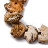 Natural Picture Jasper Beads Strands G-F783-G03-01-5