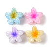 Plastic Claw Hair Clips OHAR-P020-08-1