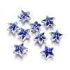 Antique Silver Plated Alloy Beads ENAM-L032-I01-AS-1