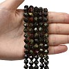 Natural Dragon Blood Beads Strands G-Z119-A17-02-2