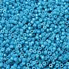 Cylinder Seed Beads SEED-H001-H10-3