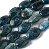 Natural Apatite Beads Strands G-Q026-A01-03-1