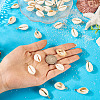60Pcs 2 Colors Natural Cowrie Shell Pendants PALLOY-TA00305-6